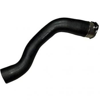 BUGIAD 81751 Tubo flexible de aire de sobrealimentación 51881823