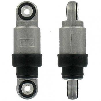 SKF VKM 31063 Kit tensor multi-V