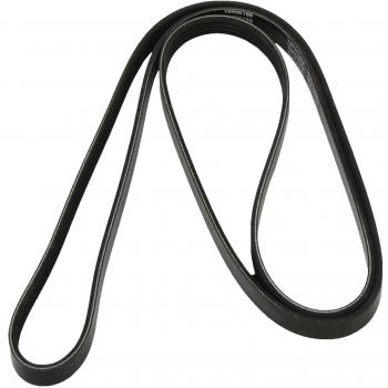 Dayco 4PK1770 Poly Rib Belt