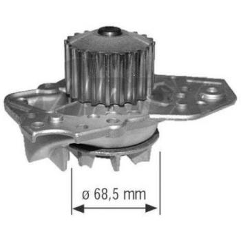 Cecauto 1002513100 - Bomba de agua.