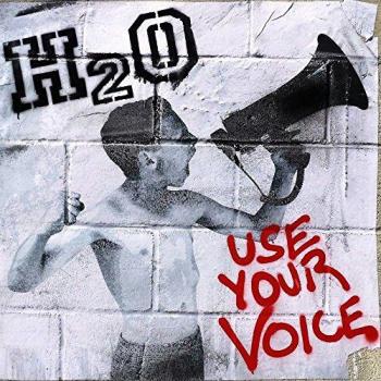 Use your voice [Vinilo]