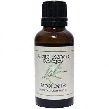 Labiatae Aceite Esencial Arbol Te