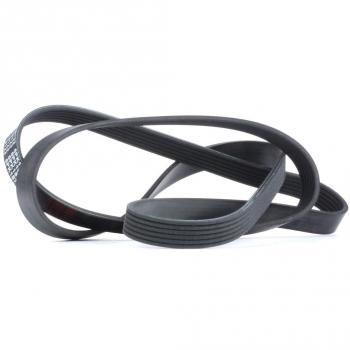 Correa trapecial poli V FEBI BILSTEIN 28986
