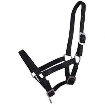 Halfter para Potros QHP Nylon 3 Ajustes Resistente (Minishetty, Negro)