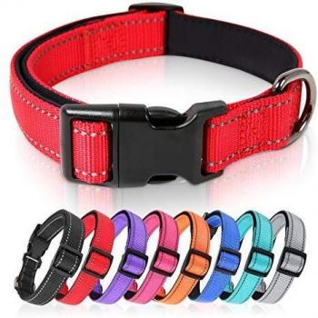 HEELE Collar Perro, Collar Nylon Reflectante Neopreno Forrado Ajustable para Perro Grande, Rojo, L