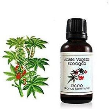 LABIATAE Aceite DE RICINO Bio 30 ML, No aplicable