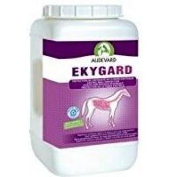 LABORATOIRES AUDEVARD 907-6372 Ekygard 2, 4Kg Audevard