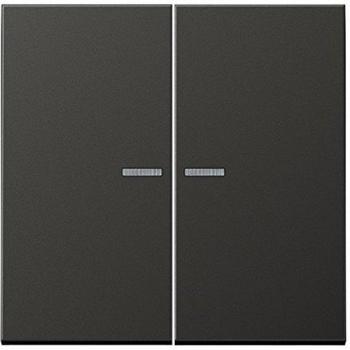 Tecla visor para mecanismo 505-U5/KOU5-535U antracita JUNG