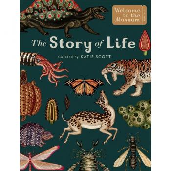 Story of Life: Mini Gift Edition