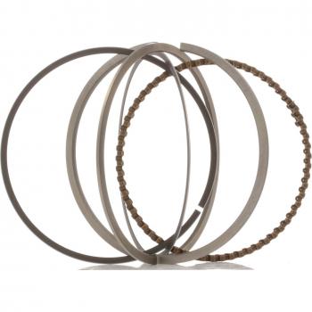 Juego de aros de pistón RIDEX 444P0008 - Kit de aros de pistón, alta calidad, adecuado para múltiples modelos de vehículos, fácil instalación, fabricado con materiales duraderos y resistentes al desgaste