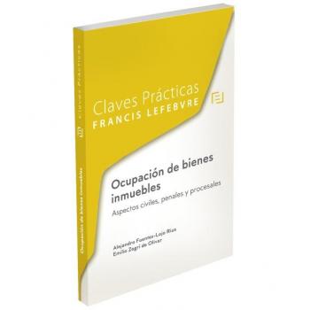 Claves Prácticas Ocupación de bienes inmuebles. Aspectos civiles, penales y procesales