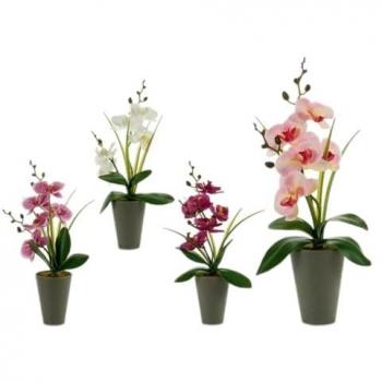 Ibergarden Planta Decorativa Orquídea Plástico Multicolor Estándar 8 x 35 x 14 cm (12 Unidades)