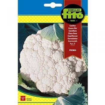 Semillas Fitó 89 - Semillas de Coliflor Premiá