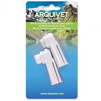 Arquivet Kit de Cepillo de Dientes
