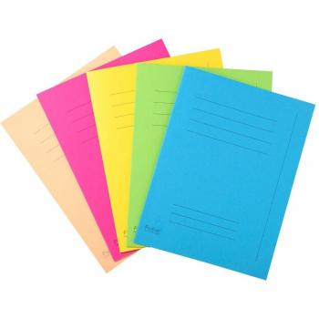 Pack de 250 Subcarpetas Forever® impresas - Exacompta 435000E - 220 g/m2