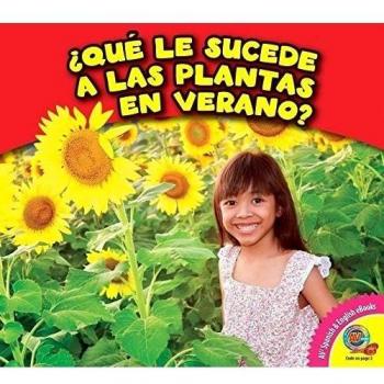 Que Le Sucede a Las Plantas En Verano?