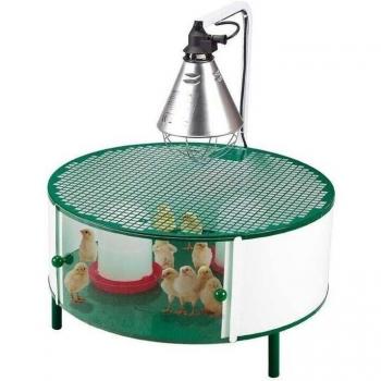 Nacedora para Pollos con Calefacción y Accesorios - Capacidad para 20-30 Pollitos, Jaula 72x72x79 cm, Comedero y Bebedero Incluidos
