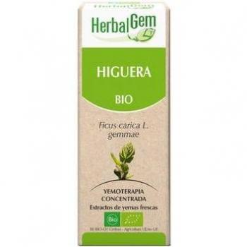 Herbalgem Higuera Bio 15 ml