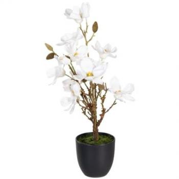 Planta Decorativa Magnolia de Poliéster y Polietileno con Base de Hierro - 30 x 30 x 60 cm