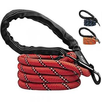 Candure Correa Perro con Mango Acolchado Suave y Nylon Sólido/Larga Reflectante Cuerda 5 ft Correas Perros Grande, Medianos y Pequeño - Adecuado para Adiestramiento,Correr y Senderismo