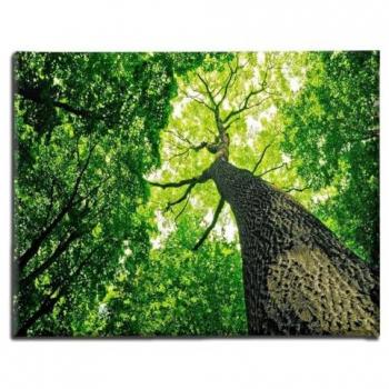 Impresión sobre Lienzo Árbol Multicolor en Poliéster y Madera, 70x3x45 cm