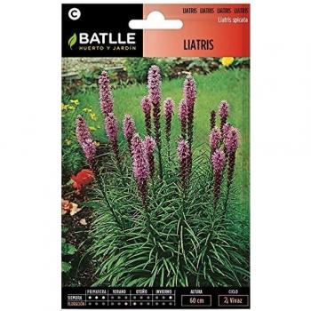 Semillas de Flores - Liatris - Batlle