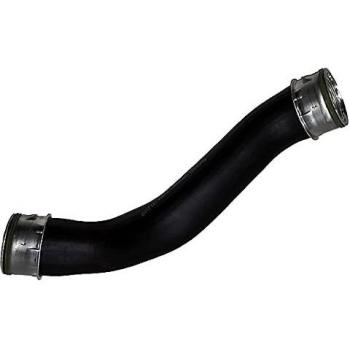 BUGIAD 81813 Tubo flexible de aire de sobrealimentación 1J0145828R