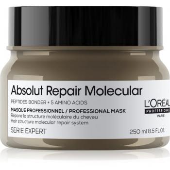 L'Oréal Professionnel Serie Expert Absolut Repair Molecular Deep Strengthening Hair Mask 250 ml