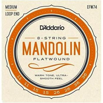 D'Addario EFW74