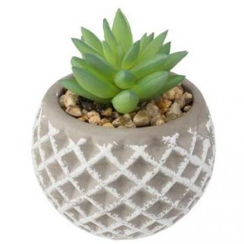 Cuadro Suculenta Artificial con Maceta de Cemento H9cm - Decoración Moderna