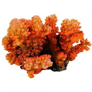 Coral de Acuario en Forma de Rama, 12 cm
