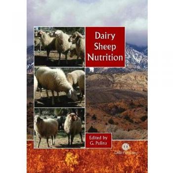 Dairy Sheep Nutrition