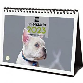 Finocam - Calendario 2023 Imágenes de Sobremesa para Escribir Enero 2023 - Diciembre 2023 (12 meses