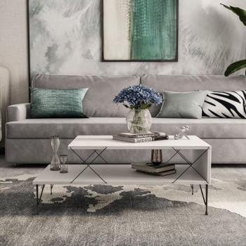 Mesa de Centro Asker con Estante Inferior de Metal y Aglomerado 100x50x40 cm - Blanco y Negro