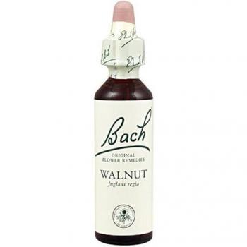 Ainsworths Walnut Bach Flower Remedy 10ml - Homeopathic Essence for Personal Transformation