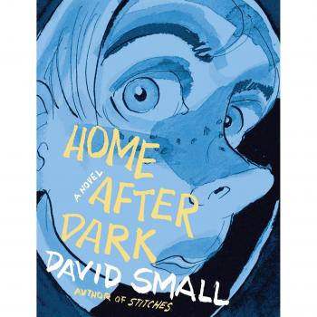 Home After Dark: A Novel