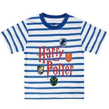 Cerdá Camiseta Manga Corta Premium Harry Potter, Azul