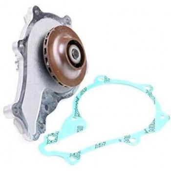 DAYCO DP077 Bomba de agua