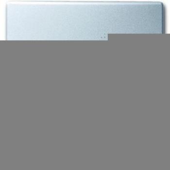 Busch-Jaeger 2138-33 - Interruptor