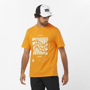 Camiseta de hombre Salomon Graphic Running naranja manga corta - L