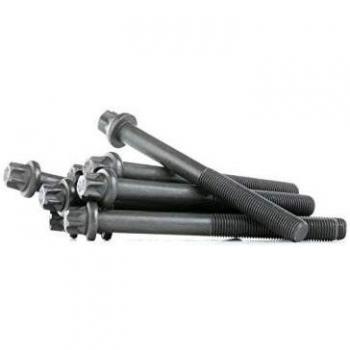 Reinz 14-32040-01 DANA