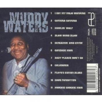 Muddy Waters