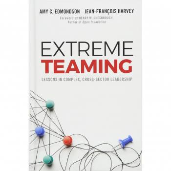 Extreme Teaming: Lessons in Complex, Cross-Sector Leadership