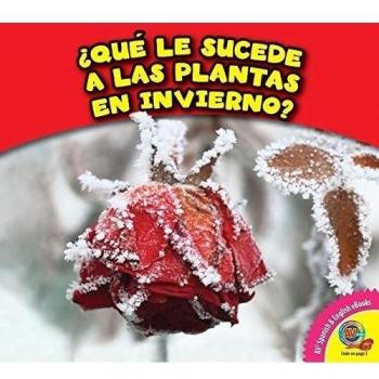 Que Le Sucede a Las Plantas En Invierno?