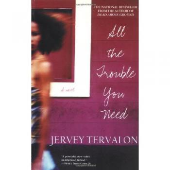 All the Trouble You Need: A Contemporary Fiction Novel with Rich Character Development and Intriguing Plot