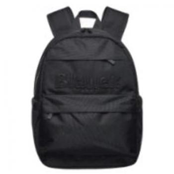 Blauer Unisex Black Polyester Laptop Backpack with Multiple Pockets and Adjustable Straps