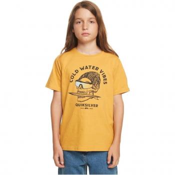 Camiseta de niños Quiksilver Qs Skull, manga corta, diseño gráfico de calavera
