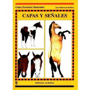 Capas y señales