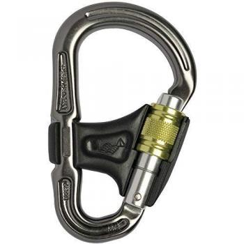 DMM Belay Master 2 Screwgate Carabiner - Titanium, One Size