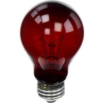 Zoo Med Nightlight - Bombilla de Reptil roja